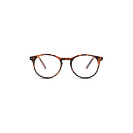 Lentes de Sol Privé Revaux THEMAESTRO Havana