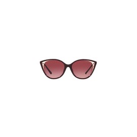 Lente Solar Michael Kors MK2152U Vino