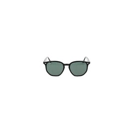 Lentes de Sol Ray Ban RB4306 Negro